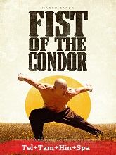 The Fist of the Condor 2023