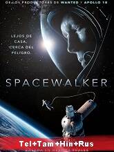 The Spacewalker 2017