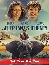 An Elephant’s Journey 2018