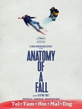 Anatomy of a Fall (2023)