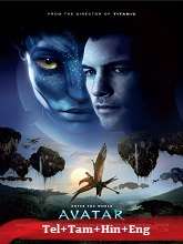 Avatar 2010