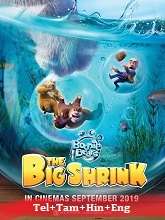 Boonie Bears: The Big Shrink (2018)